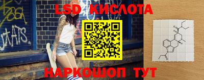 стафф Камышлов